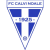logo Calvi Noale